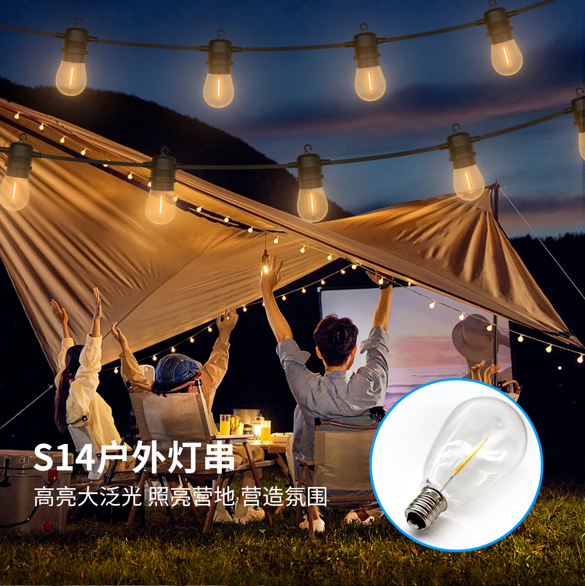 HCP103 S14圆头扁线灯串